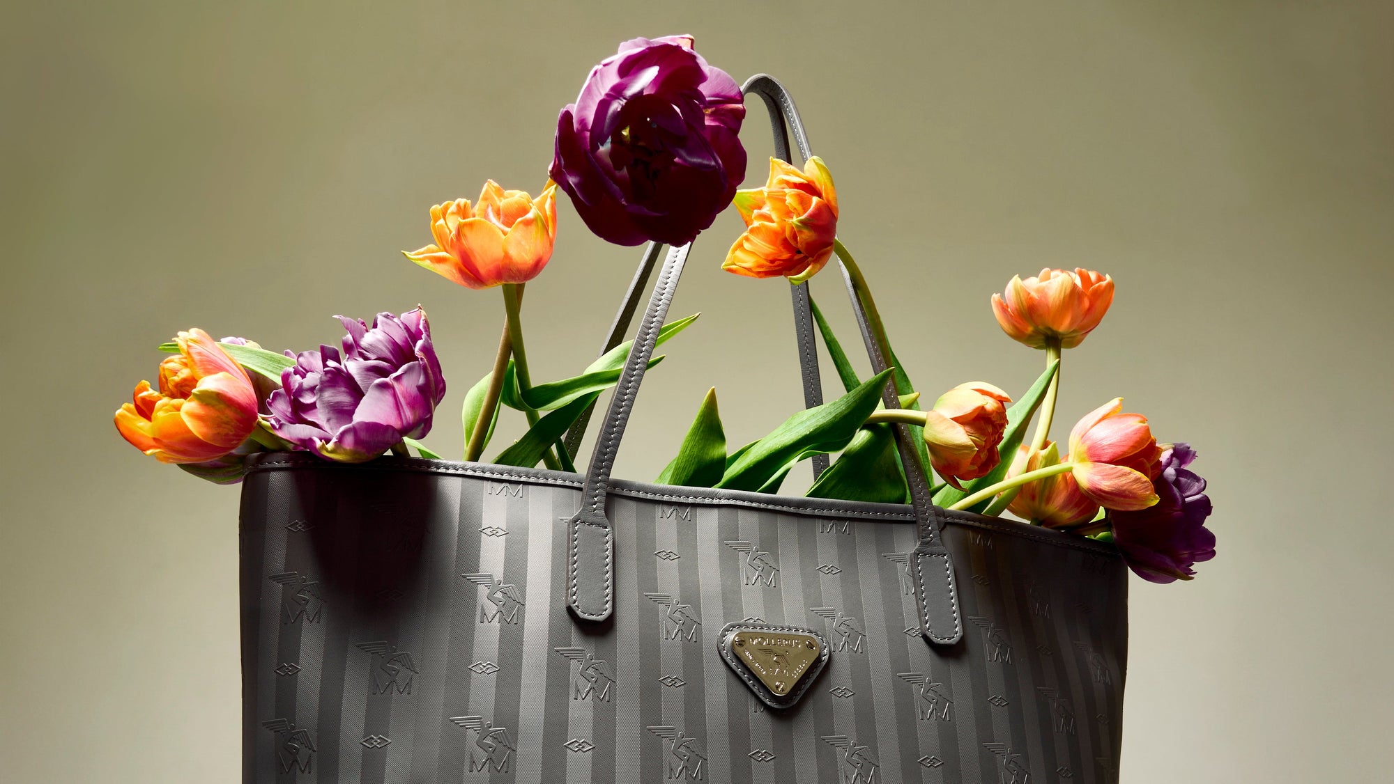 Die perfekten Begleiter für den Frühling