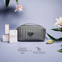 SERVAZ | Necessaire in elephant grey/silver