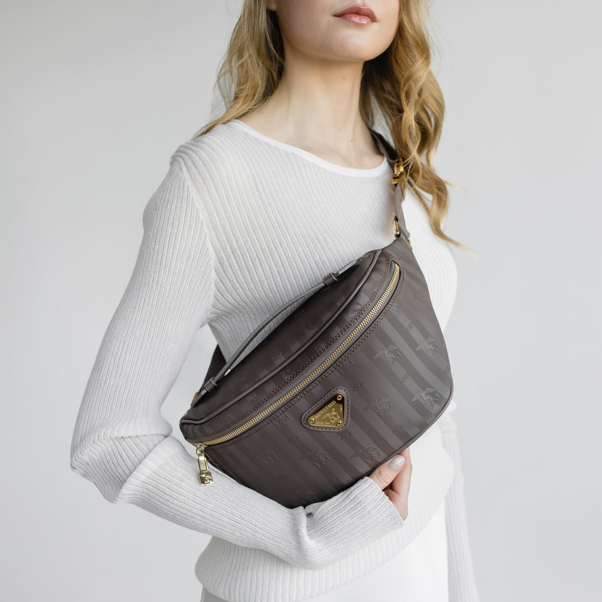 BRIENZ | Gürteltasche fango braun/gold - detail 